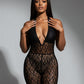 LORRAINE Sheer Lace Halter Jumpsuit